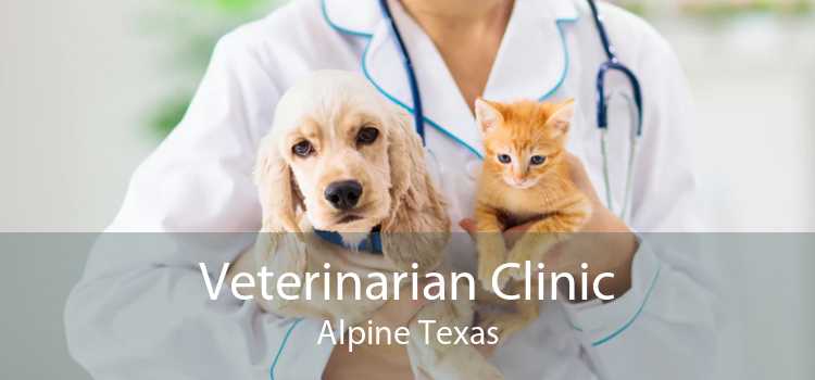 Veterinarian Clinic Alpine Texas
