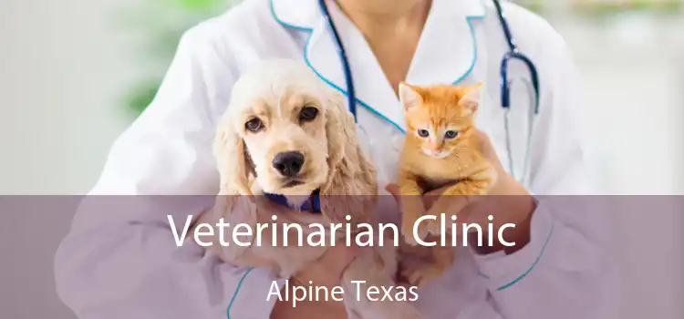 Veterinarian Clinic Alpine Texas