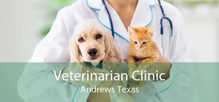 Veterinarian Clinic Andrews Texas