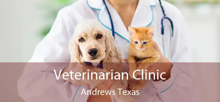 Veterinarian Clinic Andrews Texas