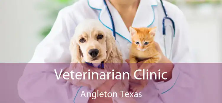 Veterinarian Clinic Angleton Texas