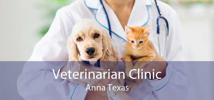 Veterinarian Clinic Anna Texas
