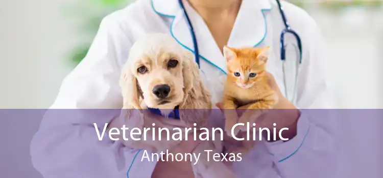 Veterinarian Clinic Anthony Texas