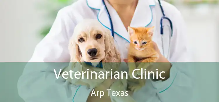 Veterinarian Clinic Arp Texas