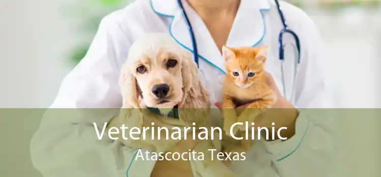 Veterinarian Clinic Atascocita Texas