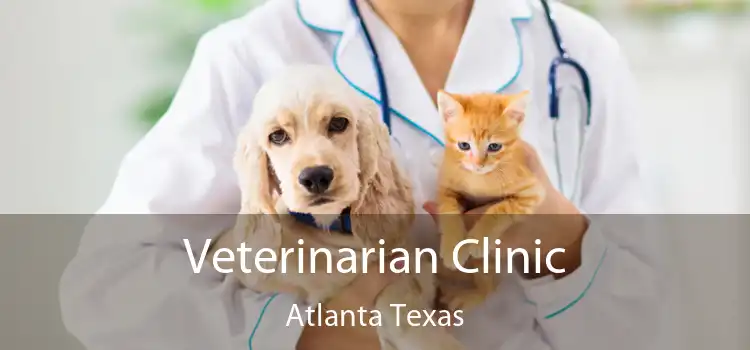 Veterinarian Clinic Atlanta Texas