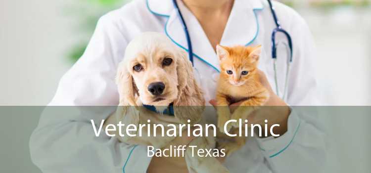 Veterinarian Clinic Bacliff Texas