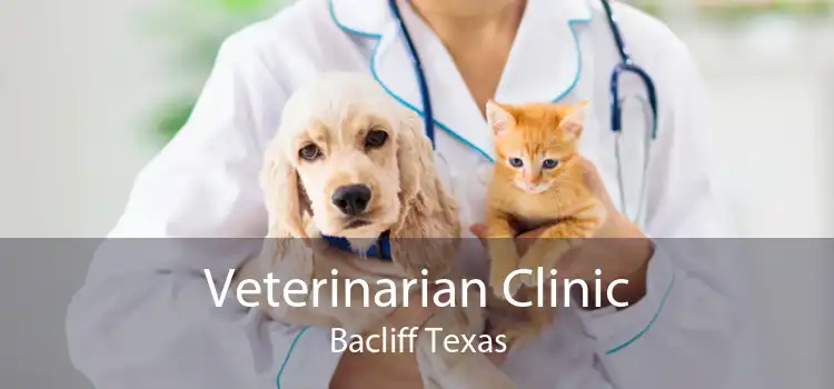 Veterinarian Clinic Bacliff Texas