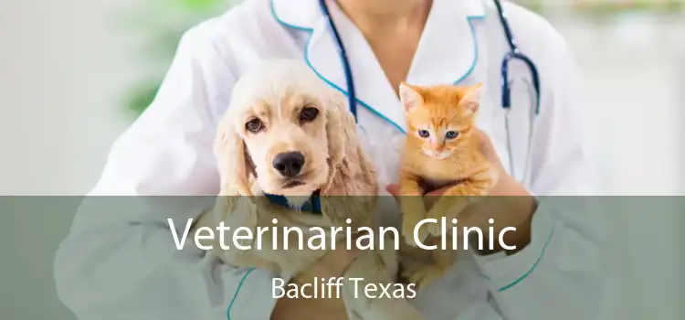 Veterinarian Clinic Bacliff Texas