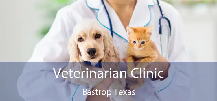 Veterinarian Clinic Bastrop Texas