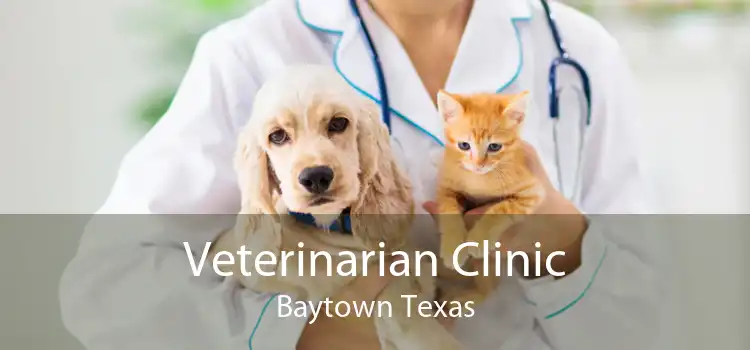 Veterinarian Clinic Baytown Texas