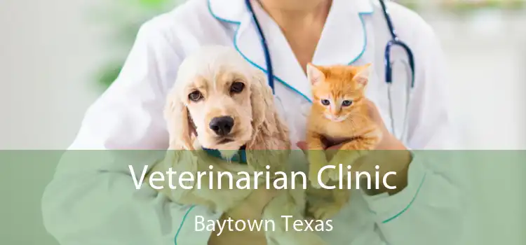 Veterinarian Clinic Baytown Texas