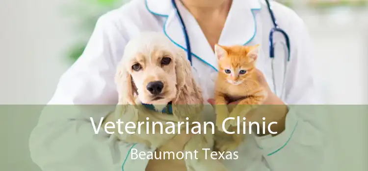 Veterinarian Clinic Beaumont Texas