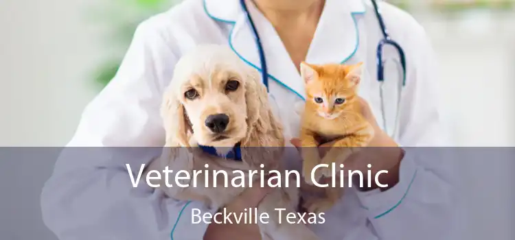 Veterinarian Clinic Beckville Texas