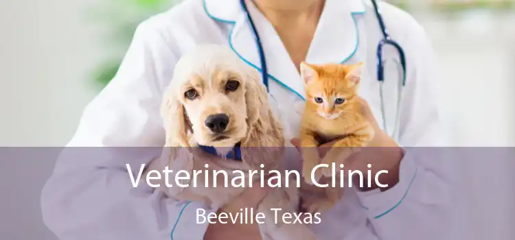 Veterinarian Clinic Beeville Texas