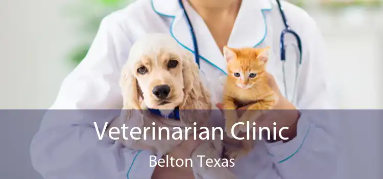 Veterinarian Clinic Belton Texas