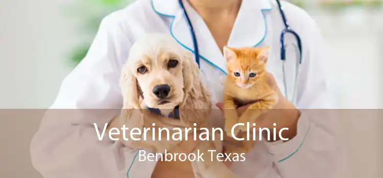 Veterinarian Clinic Benbrook Texas