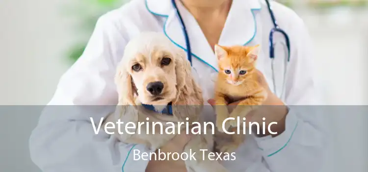 Veterinarian Clinic Benbrook Texas