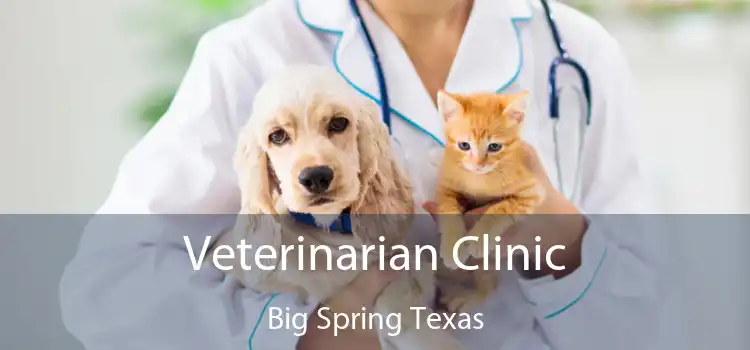 Veterinarian Clinic Big Spring Texas