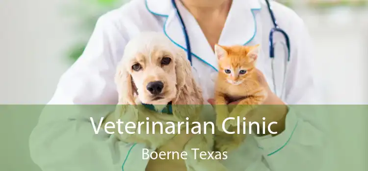 Veterinarian Clinic Boerne Texas