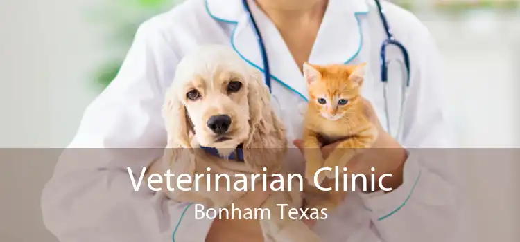 Veterinarian Clinic Bonham Texas
