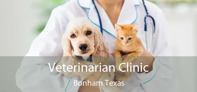 Veterinarian Clinic Bonham Texas