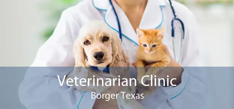 Veterinarian Clinic Borger Texas