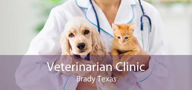 Veterinarian Clinic Brady Texas