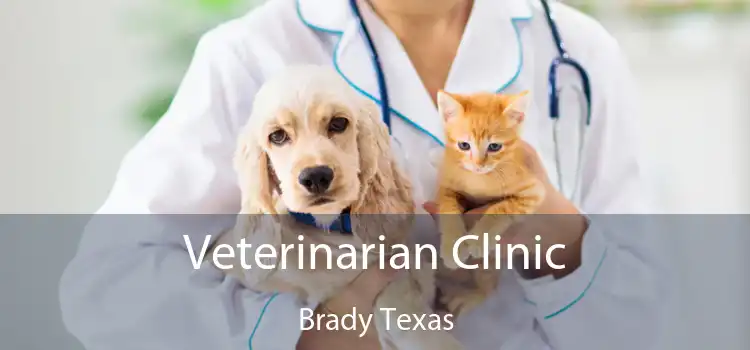 Veterinarian Clinic Brady Texas