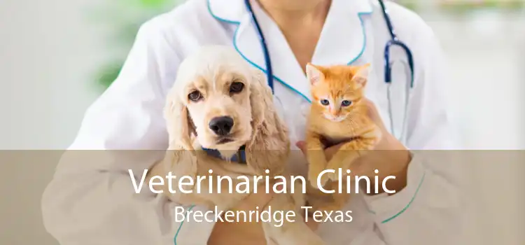 Veterinarian Clinic Breckenridge Texas