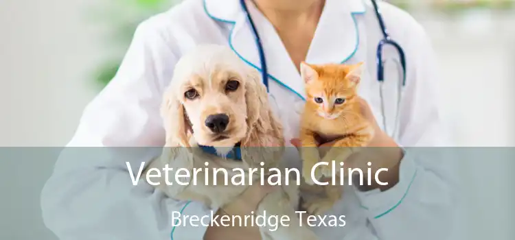 Veterinarian Clinic Breckenridge Texas