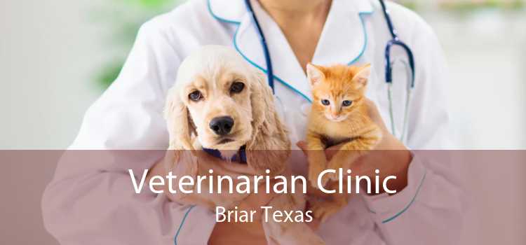 Veterinarian Clinic Briar Texas