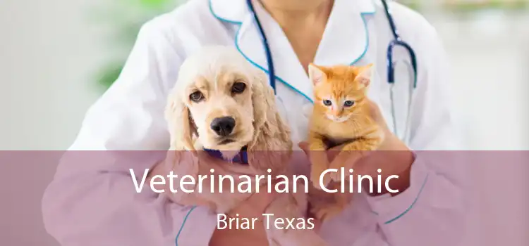 Veterinarian Clinic Briar Texas