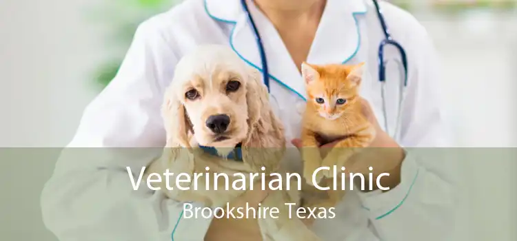 Veterinarian Clinic Brookshire Texas