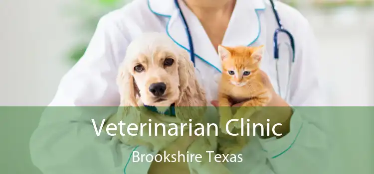 Veterinarian Clinic Brookshire Texas