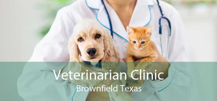 Veterinarian Clinic Brownfield Texas