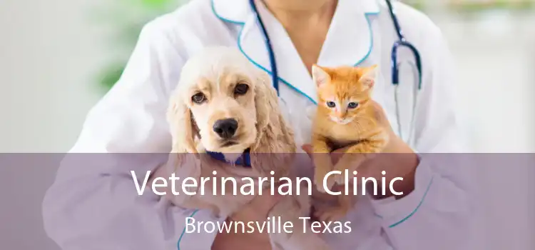 Veterinarian Clinic Brownsville Texas