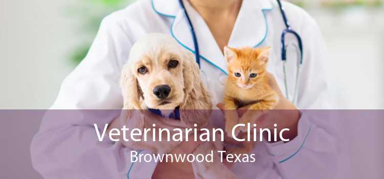 Veterinarian Clinic Brownwood Texas
