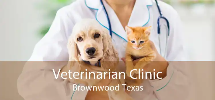 Veterinarian Clinic Brownwood Texas