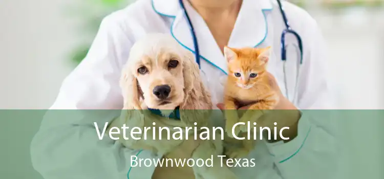 Veterinarian Clinic Brownwood Texas