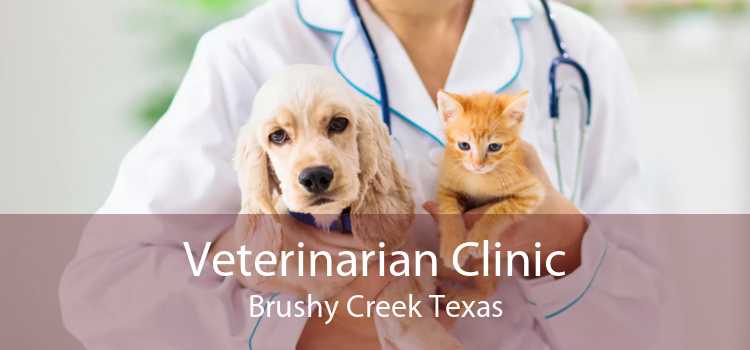 Veterinarian Clinic Brushy Creek Texas