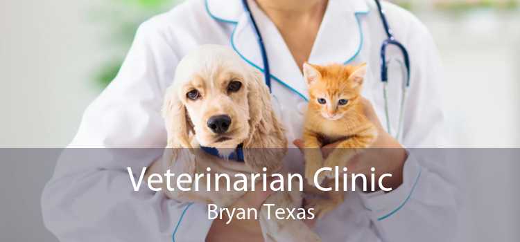 Veterinarian Clinic Bryan Texas