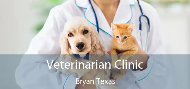 Veterinarian Clinic Bryan Texas