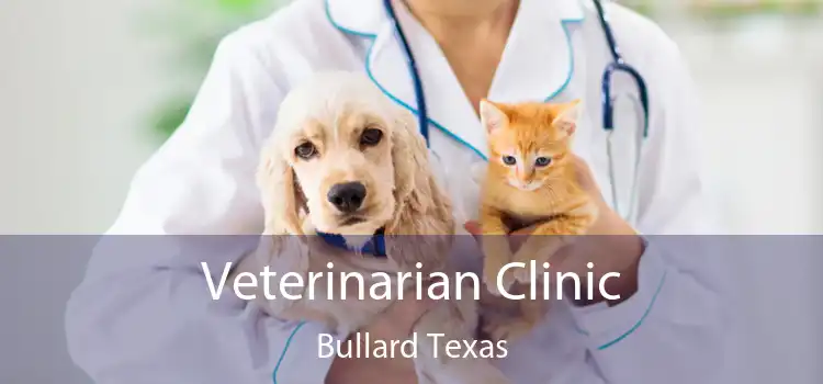 Veterinarian Clinic Bullard Texas