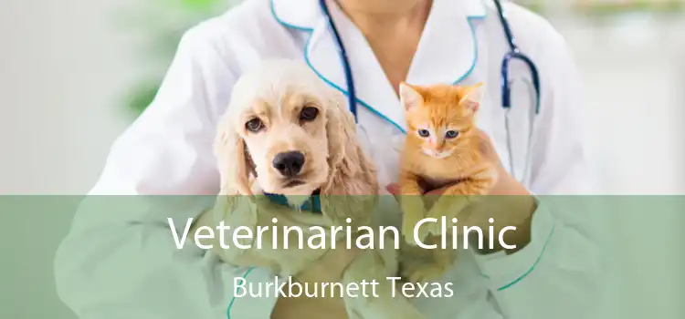 Veterinarian Clinic Burkburnett Texas