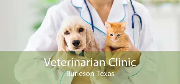 Veterinarian Clinic Burleson Texas