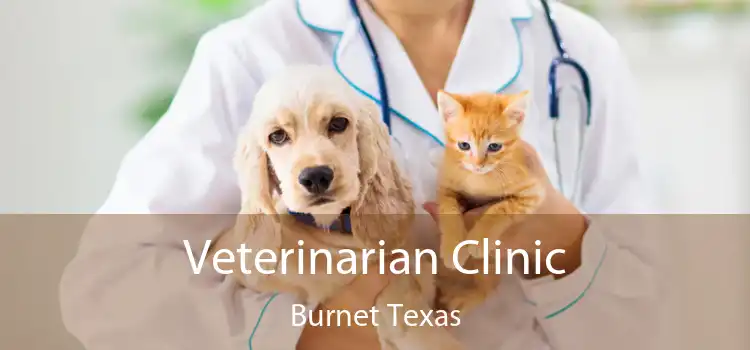 Veterinarian Clinic Burnet Texas