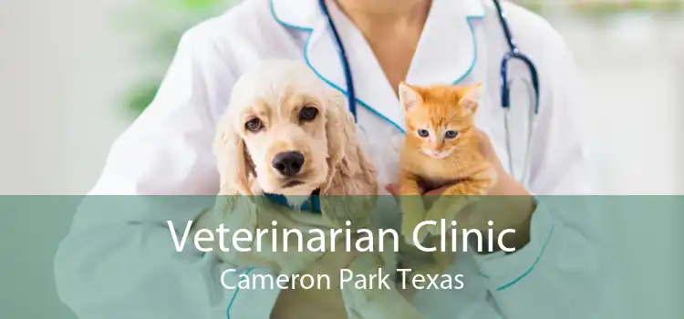 Veterinarian Clinic Cameron Park Texas