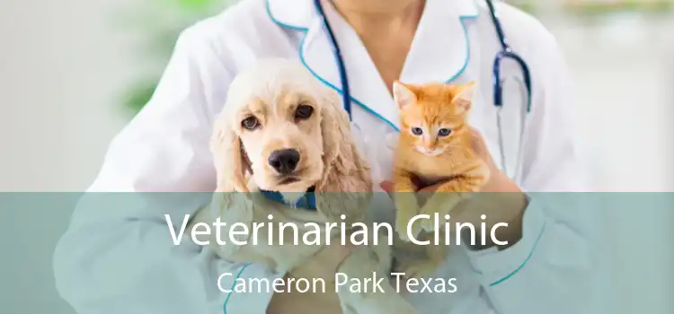 Veterinarian Clinic Cameron Park Texas