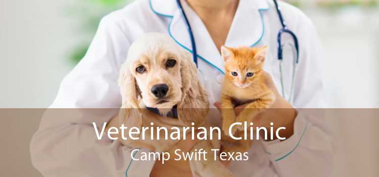 Veterinarian Clinic Camp Swift Texas